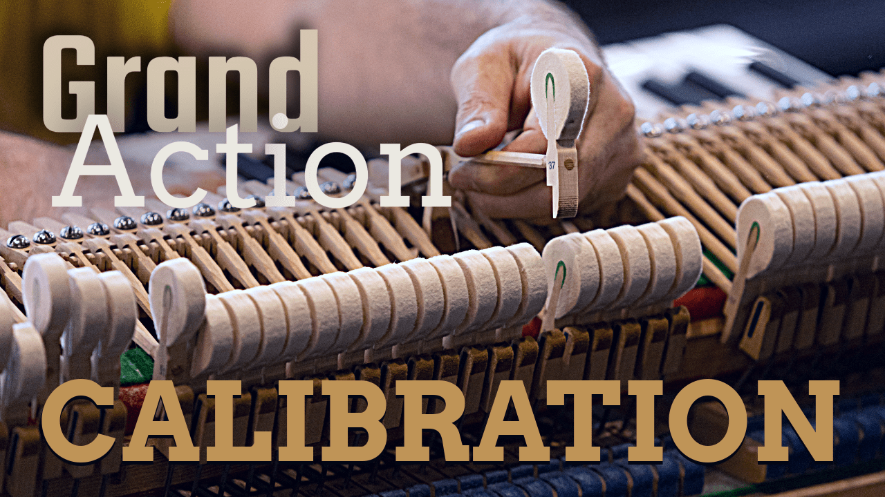 Grand Action Calibration! - The Artisan School
