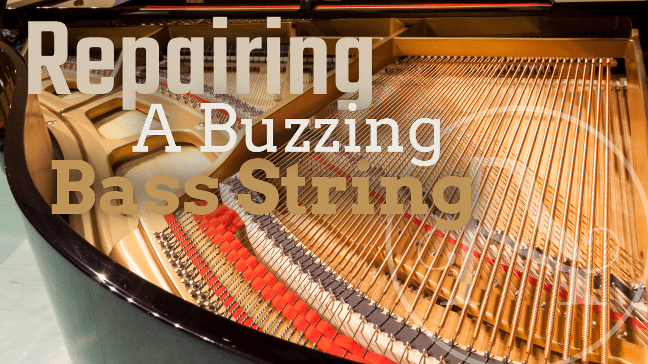 Repairing a Buzzing Bass String! - The Artisan School