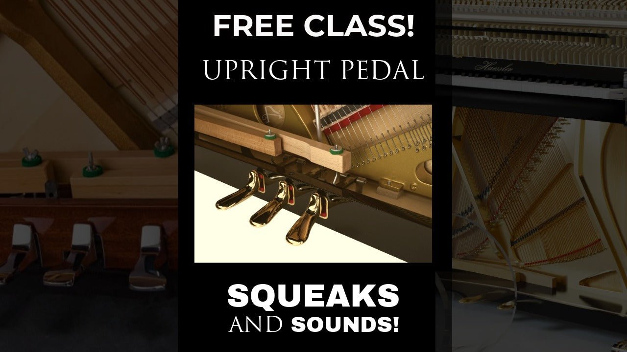 How to Fix a Squeaky Piano Pedal - The Artisan School
