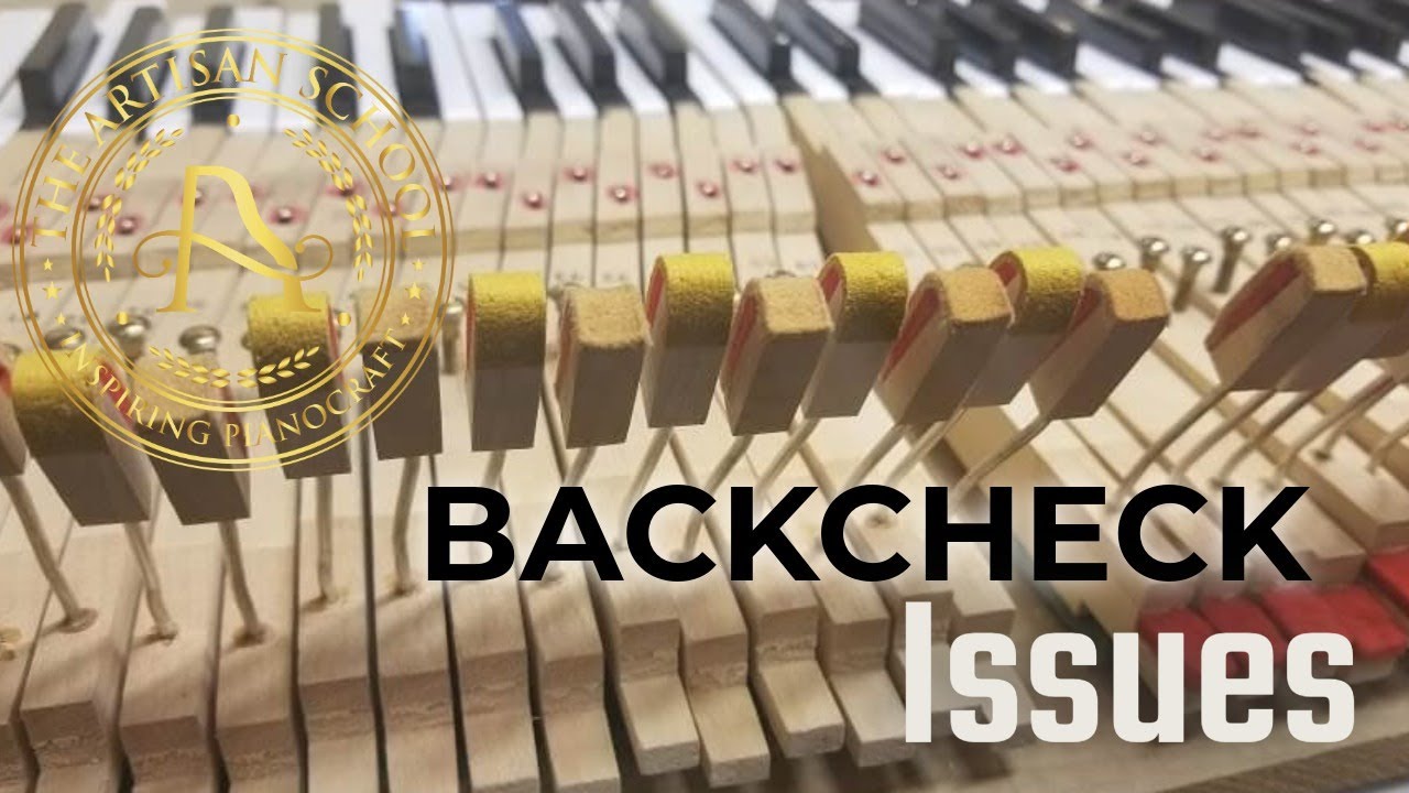 Backcheck Issues! - The Artisan School